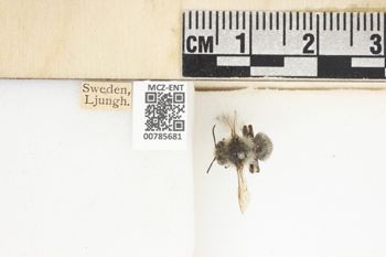 Media type: image;   Entomology 785681 Aspect: Labels